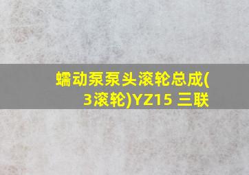 蠕动泵泵头滚轮总成(3滚轮)YZ15 三联